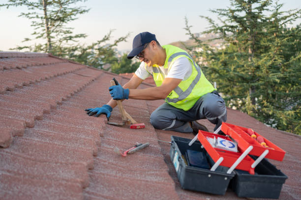 Best Storm Damage Roof Repair  in Palm Valley, TX