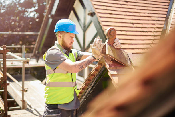 Best Roof Gutter Cleaning  in Palm Valley, TX